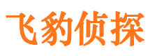 隆安出轨调查